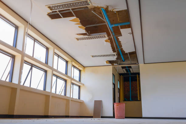 Best Flood restoration services  in Manchester, KY