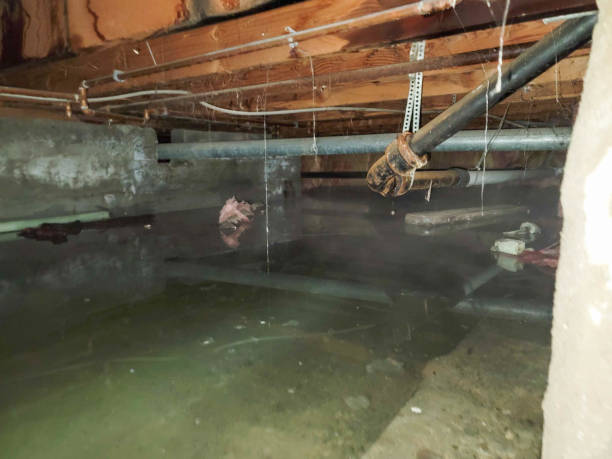 Best Flooded house restoration  in Manchester, KY