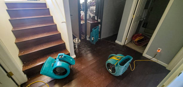 Best Residential water damage restoration  in Manchester, KY